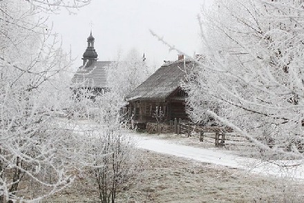 Приключения в стране Зюзи