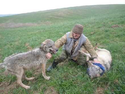 Увлекательное путешествие по Гайне