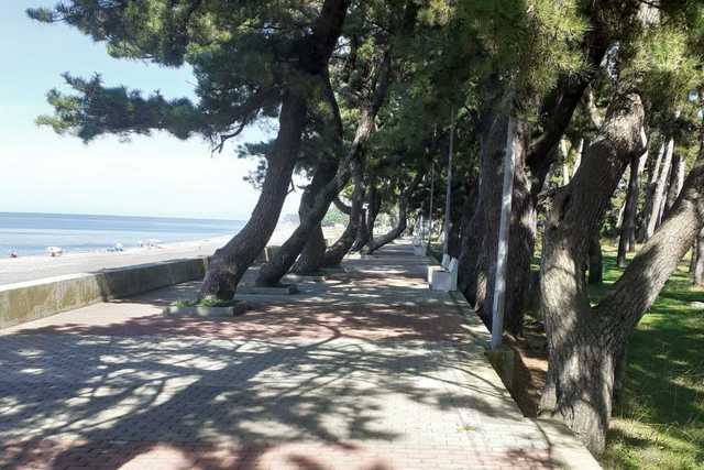 Детский лагерь Fresh Campus, Kобулети, Грузия